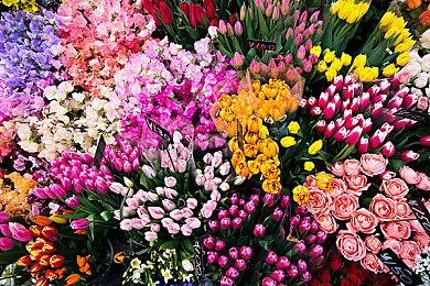 平台游戏新作《浣熊大冒险》发售 上市宣传片赏